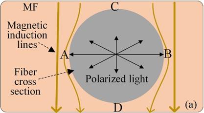 微纳光纤偏振调制原理图_副本