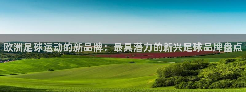 米乐m6平台官方网站宇信科技